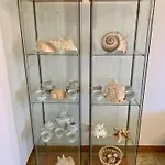 Palma Appartamento